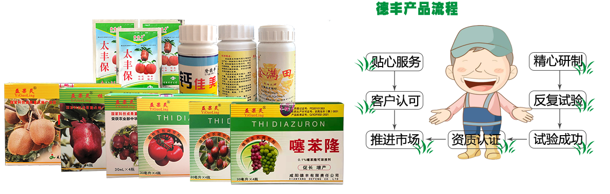 德豐公司產品流程 噻苯隆流程